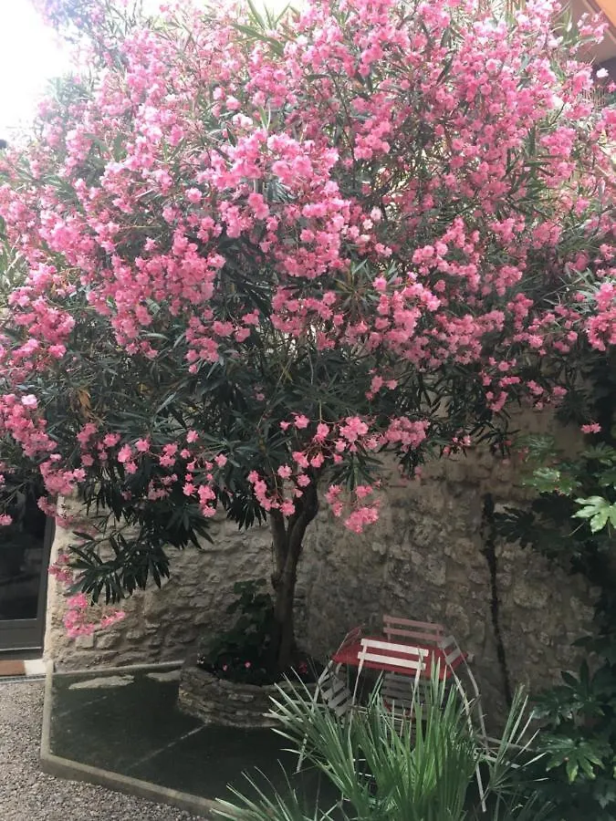Petite Maison Sur Jardin Secret Avignon 0*,  France