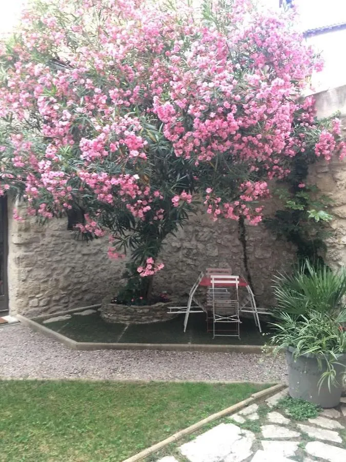 Petite Maison Sur Jardin Secret Avignon 0*,  France